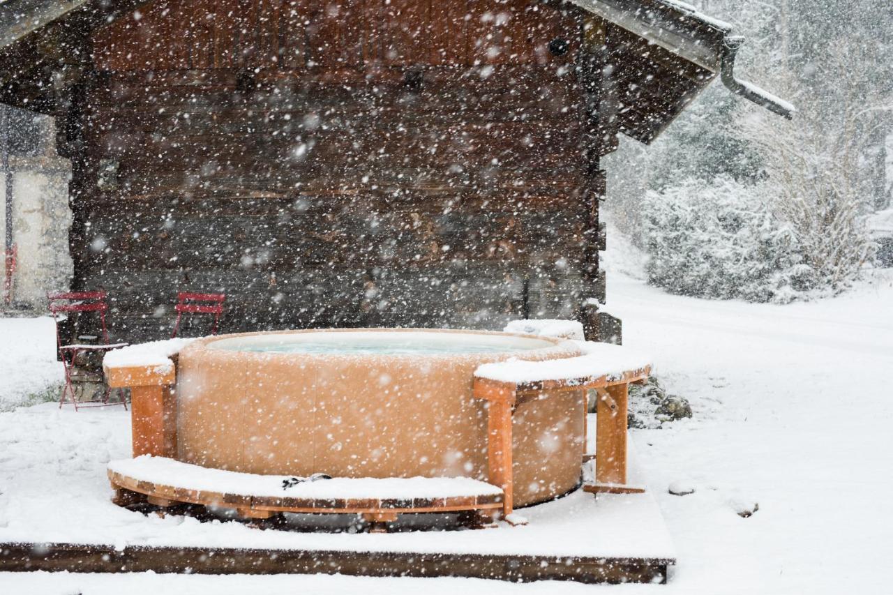 מונטריון Chalet Sur Les Monts Morzine מראה חיצוני תמונה