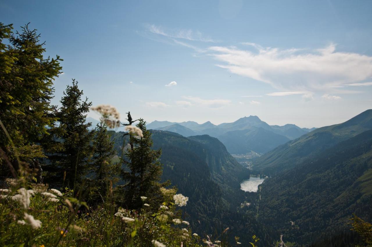 מונטריון Chalet Sur Les Monts Morzine מראה חיצוני תמונה