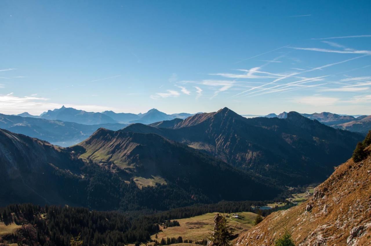 מונטריון Chalet Sur Les Monts Morzine מראה חיצוני תמונה
